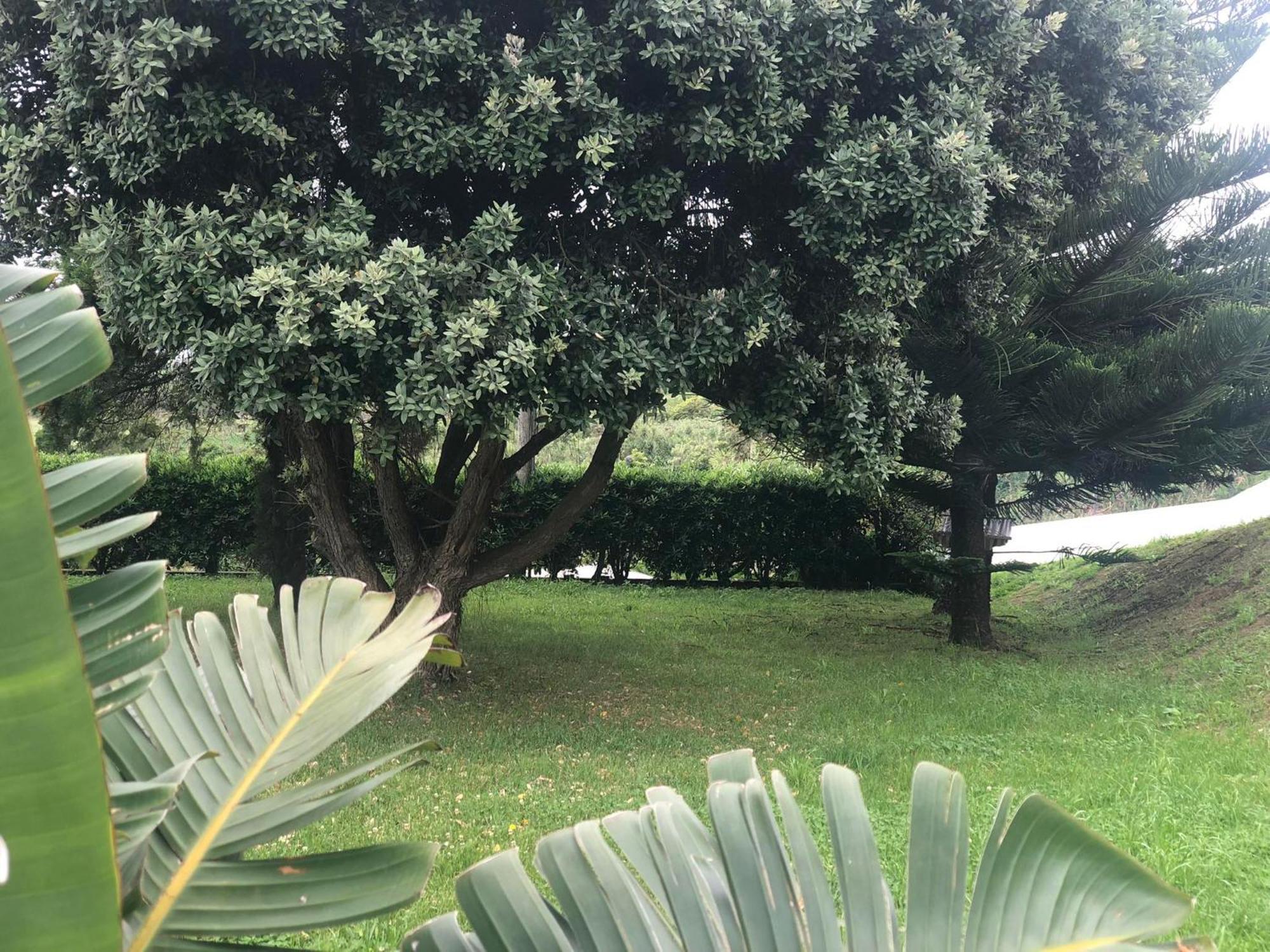 Villa Vivenda Flor Ponta Delgada Esterno foto