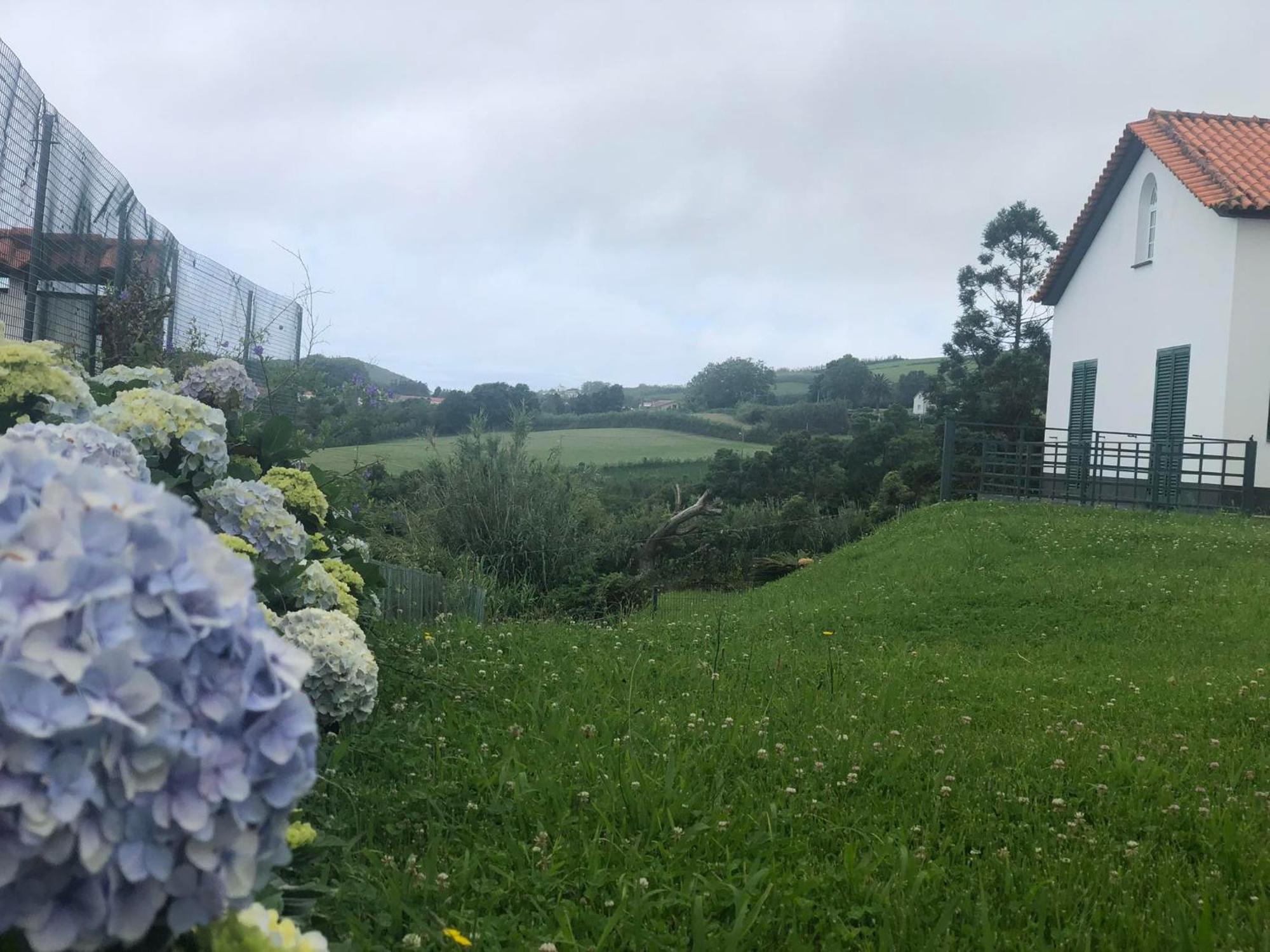 Villa Vivenda Flor Ponta Delgada Esterno foto