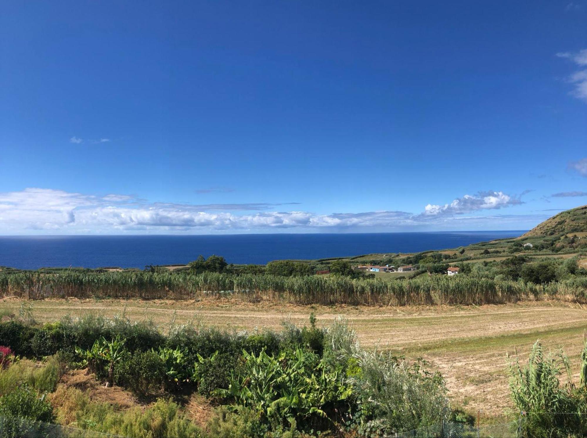 Villa Vivenda Flor Ponta Delgada Esterno foto