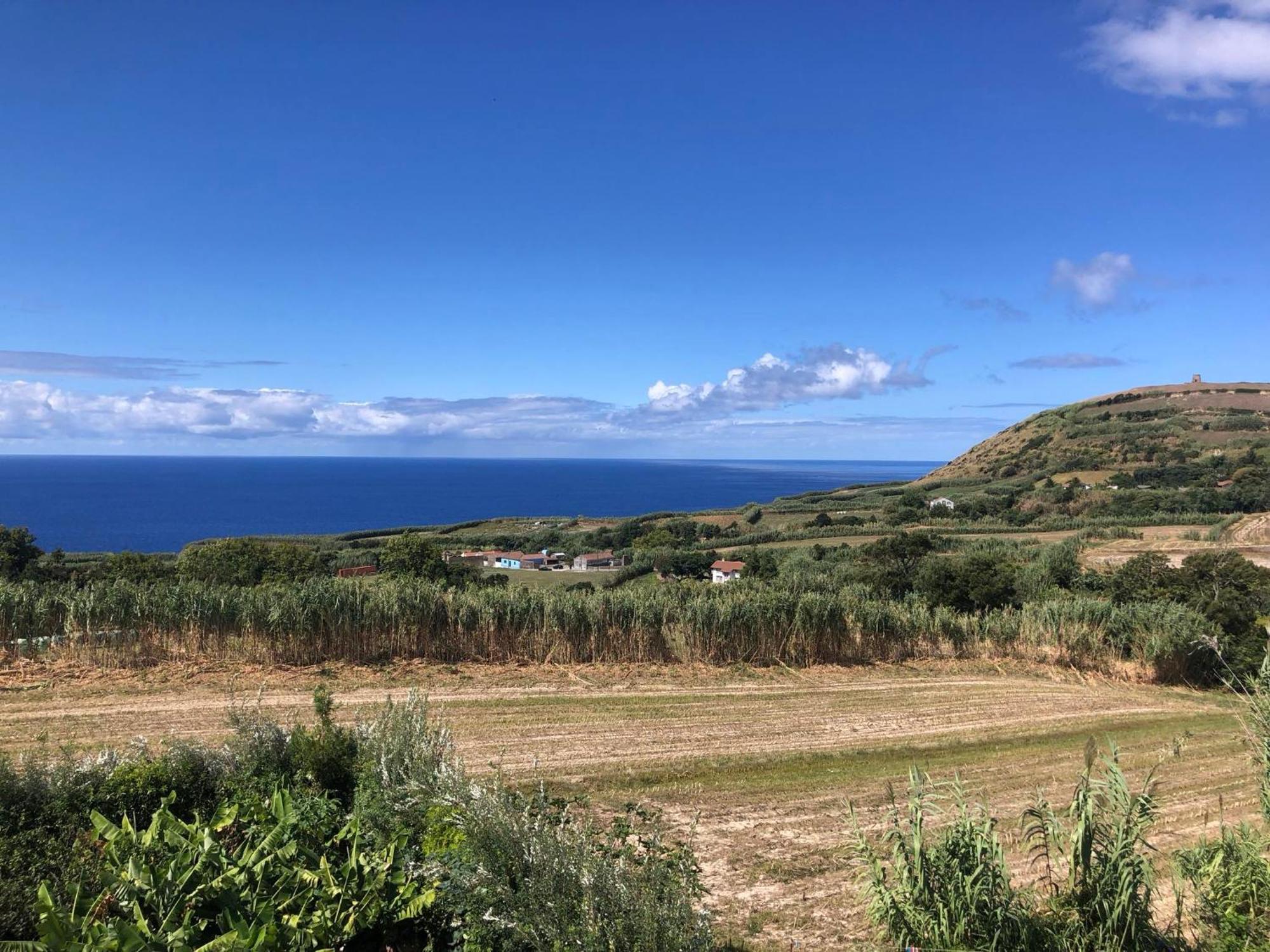 Villa Vivenda Flor Ponta Delgada Esterno foto